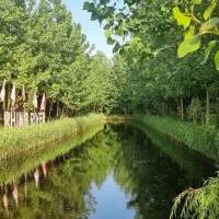 معماری افسانه ای|فروش خانه و ویلا|کرج, احدآباد|دیوار