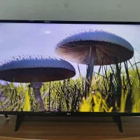 تلوزیون ال ای دی هوشمند ال جی 43اینچ کره ای اصل|تلویزیون و پروژکتور|نورآباد, |دیوار