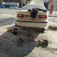 تعمیرگاه تخصصی اکسل عقب و جلوبندی وجعبه فرمان