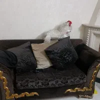 مبل 7نفره ترتمیز