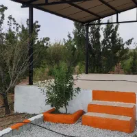 فروش ویژه باغ میوه/۲۰۰۰ متر/سندتک برگ/محصور/مارکده|فروش زمین و ملک کلنگی|اصفهان, کوی ولی عصر|دیوار