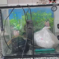 آکواریوم