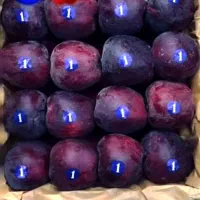 نیروی کار خانم برای سورت وبسته بندی سیب