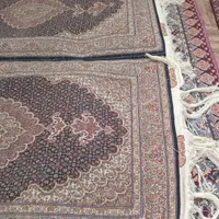 فرش دستباف 50 رنج|فرش|خوی, |دیوار