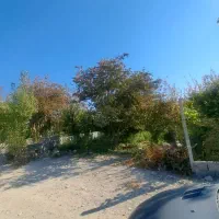 300متر سند دار شهرکی