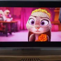 LED|تلویزیون و پروژکتور|مشهد, فاطمیه|دیوار