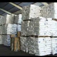 بذر ذرت گواهی شده و لیبل دار سینگل کراس 704 مغان