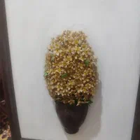 قاب عکس