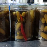 پخش خیارشور فله و حلب|خوردنی و آشامیدنی|پاسارگاد, |دیوار