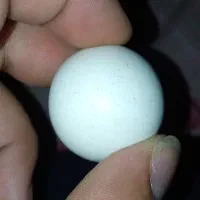 الماس اسیاب|کلکسیون اشیاء عتیقه|بندر گناوه, |دیوار