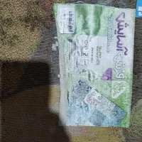 فرش سالم|فرش|رشت, کوی حسینی|دیوار