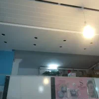 نقاش ساختمان|خدمات پیشه و مهارت|سبزوار, قصبه شرقی|دیوار