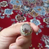 انگشتر کلسیومی شجر زنده|جواهرات|ساوه, |دیوار