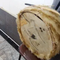 دهول|درام و پرکاشن|تربت‌حیدریه, پائین ولایت|دیوار