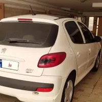 ۲۰۷ پانا مدل ۱۴۰۲ در حد