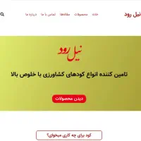 طراحی انواع سایت و فروشگاه اینترنتی