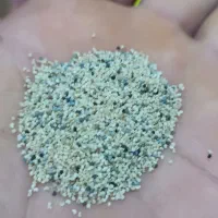 خشخاش خوراکی