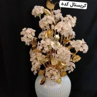 نظر گیر|کلکسیون و سرگرمی|دورود, |دیوار