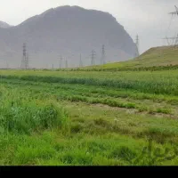 زمین کشاورزی اجاره