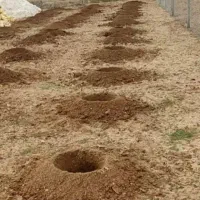 خدمات باغی کلتیواتور وگوده زنی|خدمات باغبانی و درختکاری|ابرکوه, |دیوار