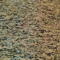 موکت سالم ودرحدنو پالاز|موکت|فردیس, قریشی|دیوار