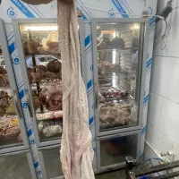 سیراب اعلا|خوردنی و آشامیدنی|اصفهان, سرتاوه|دیوار