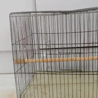 قفس پرنده