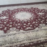 دوتا دوازده متری|فرش|تایباد, |دیوار