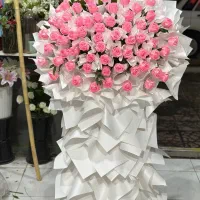 گل های روبانی و مخملی