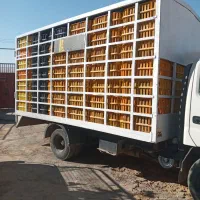 اتاق مرغی|قطعات یدکی و لوازم جانبی|کوهنانی, |دیوار