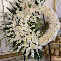 گلفروشی طبیعی. مصنوعی .اپارتمانی|گل و گیاه طبیعی|رودسر, |دیوار