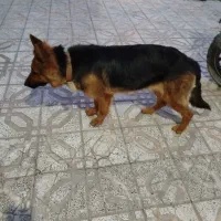 معاوضه