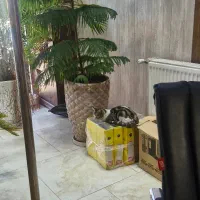 این خانم کوچول یه مامان می خواد