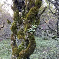 راهنمایی اثر هنری