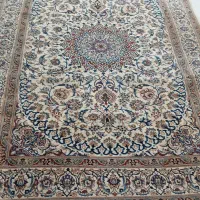 فرش دستباف|فرش|مشهد, ارشاد|دیوار
