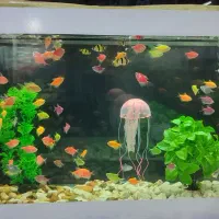 باسمنج خیابان ولیعصر جنب مسجد ولیعصر