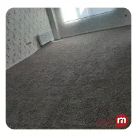 دو عدد پالاز موکت طوسی