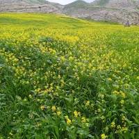 راهنمایی گردش