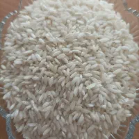 برنج چمپا