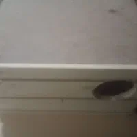 لونه ی پرنده