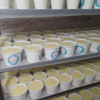 پخش عمده لبنیات سنتی ماست