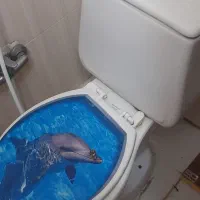 توالت فرنگی