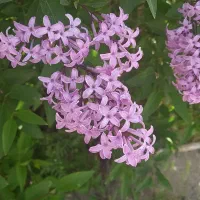 فروش خانه ویلایی ۷۰ متری ۱ خوابه