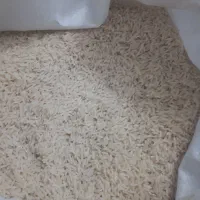 برنج هاشمی گیلان|خوردنی و آشامیدنی|قم, کلهری|دیوار