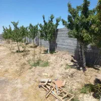 ۵۷۷متری باغ زمین دربهترین منطقه ویلایی استادشجریان|فروش زمین و ملک کلنگی|مشهد, توس فردوسی|دیوار