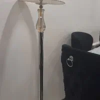 آباژور بسیار سالم