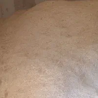 حدود سه تن کاه گندم دیم