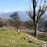 یک-قطعه-زمین-مسکونی-130-متری