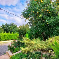 زمین-300-متری-سنددار-شهرکی-با-گیت-با-انشعاب