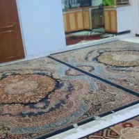 اجاره خانه|اجارهٔ آپارتمان|تهران, شکوفه (عبدل آباد)|دیوار